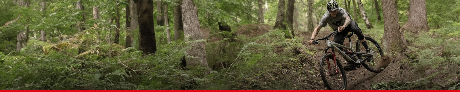 Varumärken | DT SWISS