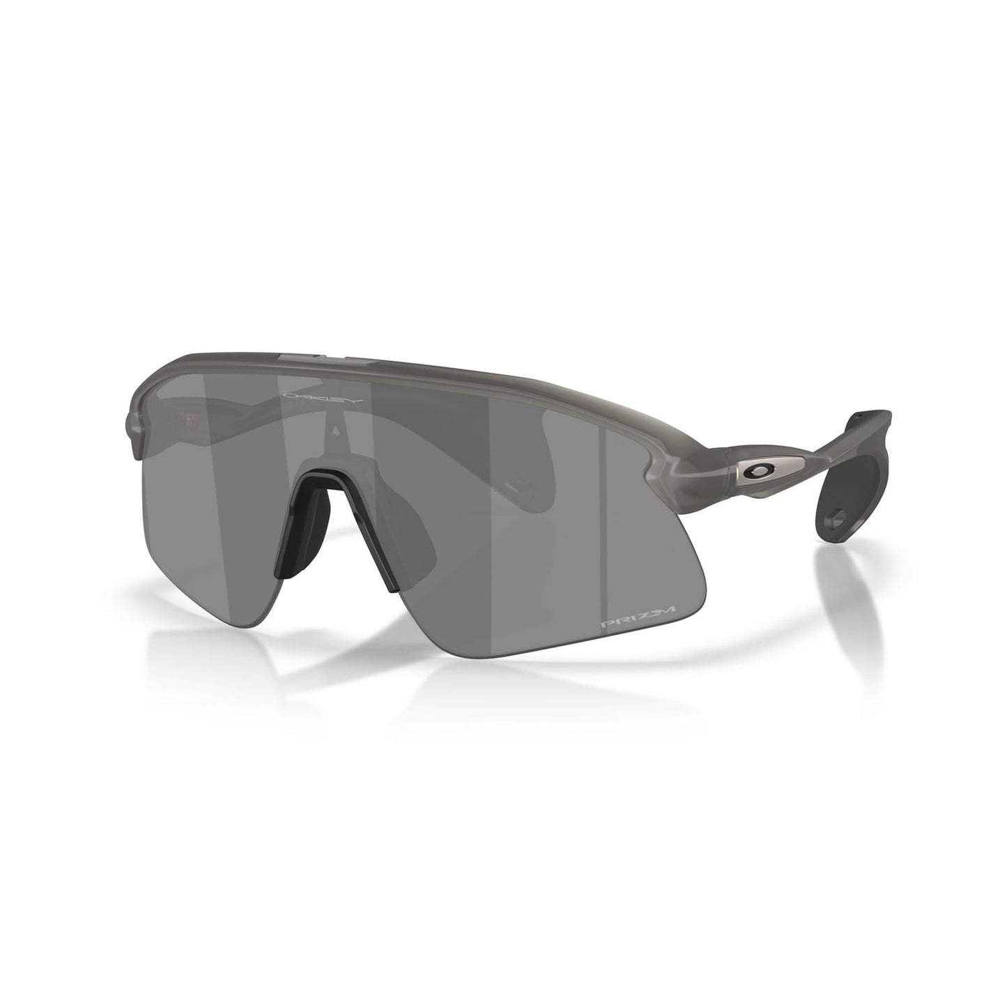 OAKLEY STUNT DEVIL Glasögon Rökgrå Prizm Svart