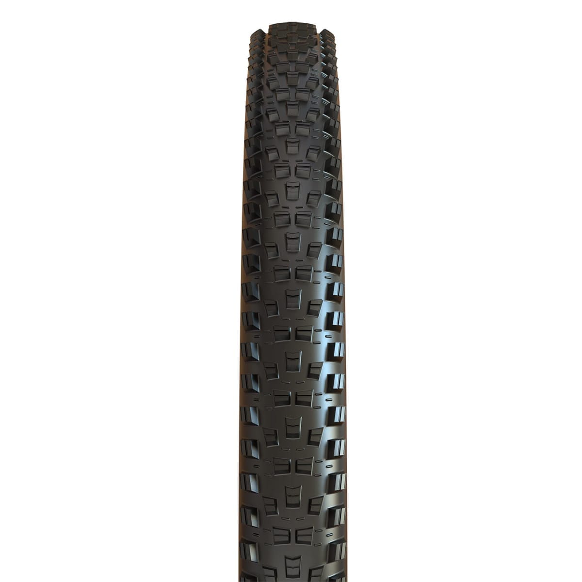 MAXXIS FOREKASTER 29x2.60 Exo+ 3C MaxxTerra Tubeless Ready Soft Black-däck