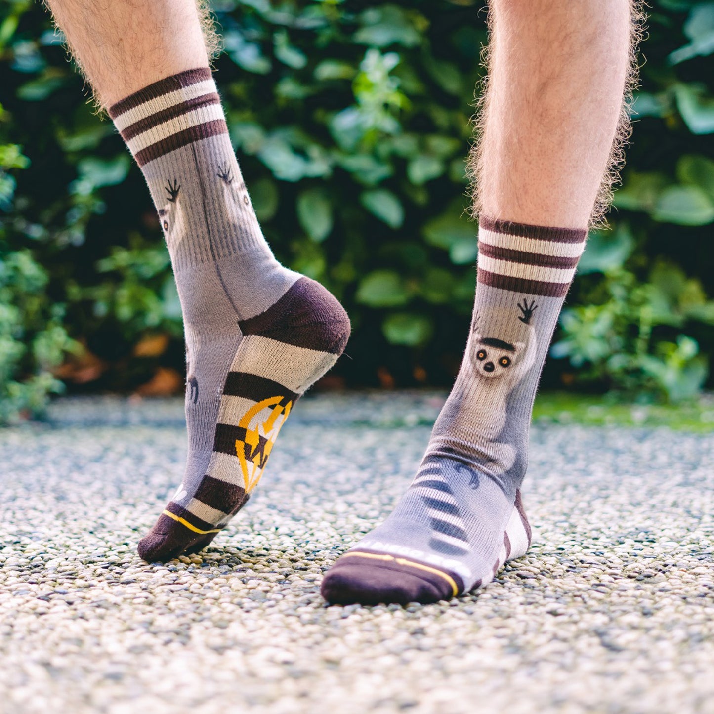 MERGE4 RING TAIL LEMUR strumpor