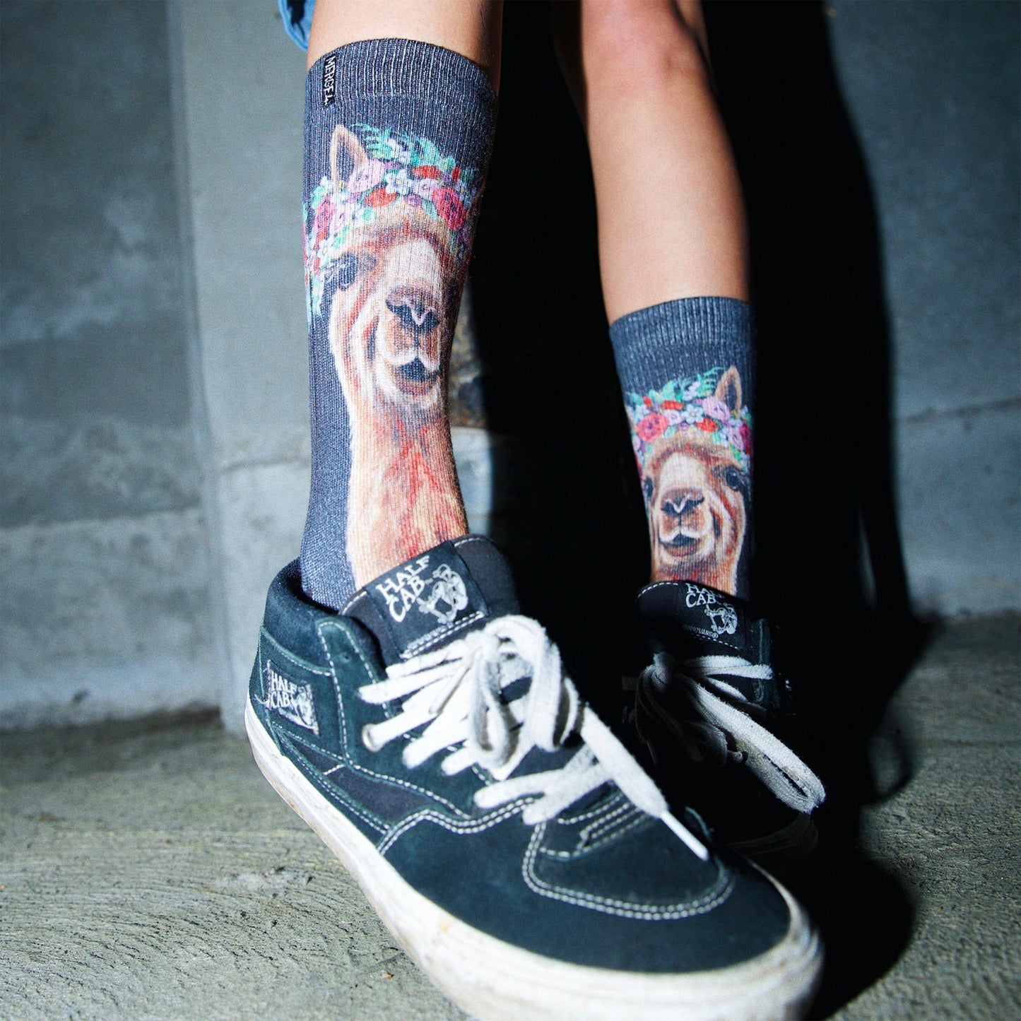 MERGE4 Socks LEE KELLER ALPACA FARM ANIMAL
