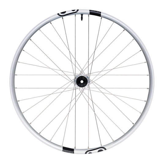 Bakhjul CRANKBROTHERS SYNTHESIS Aluminium 2.0 DH I9 29" 12x157 mm Super Boost Silver
