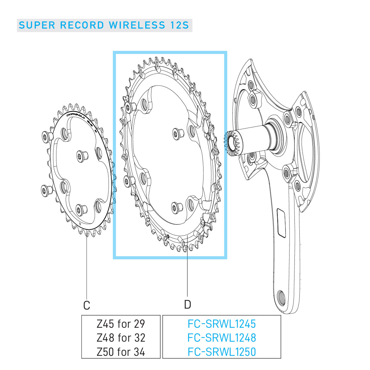 Utomhus 12V CAMPAGNOLO SUPER RECORD WRL bricka
