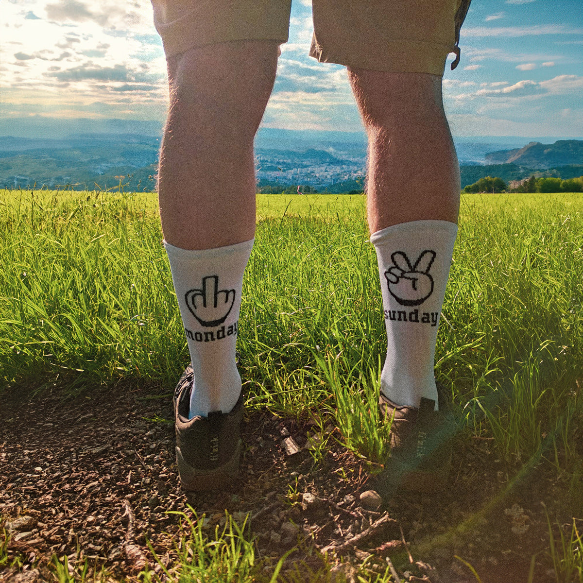 NORTHWAVE SUNDAY MONDAY Strumpor Vit