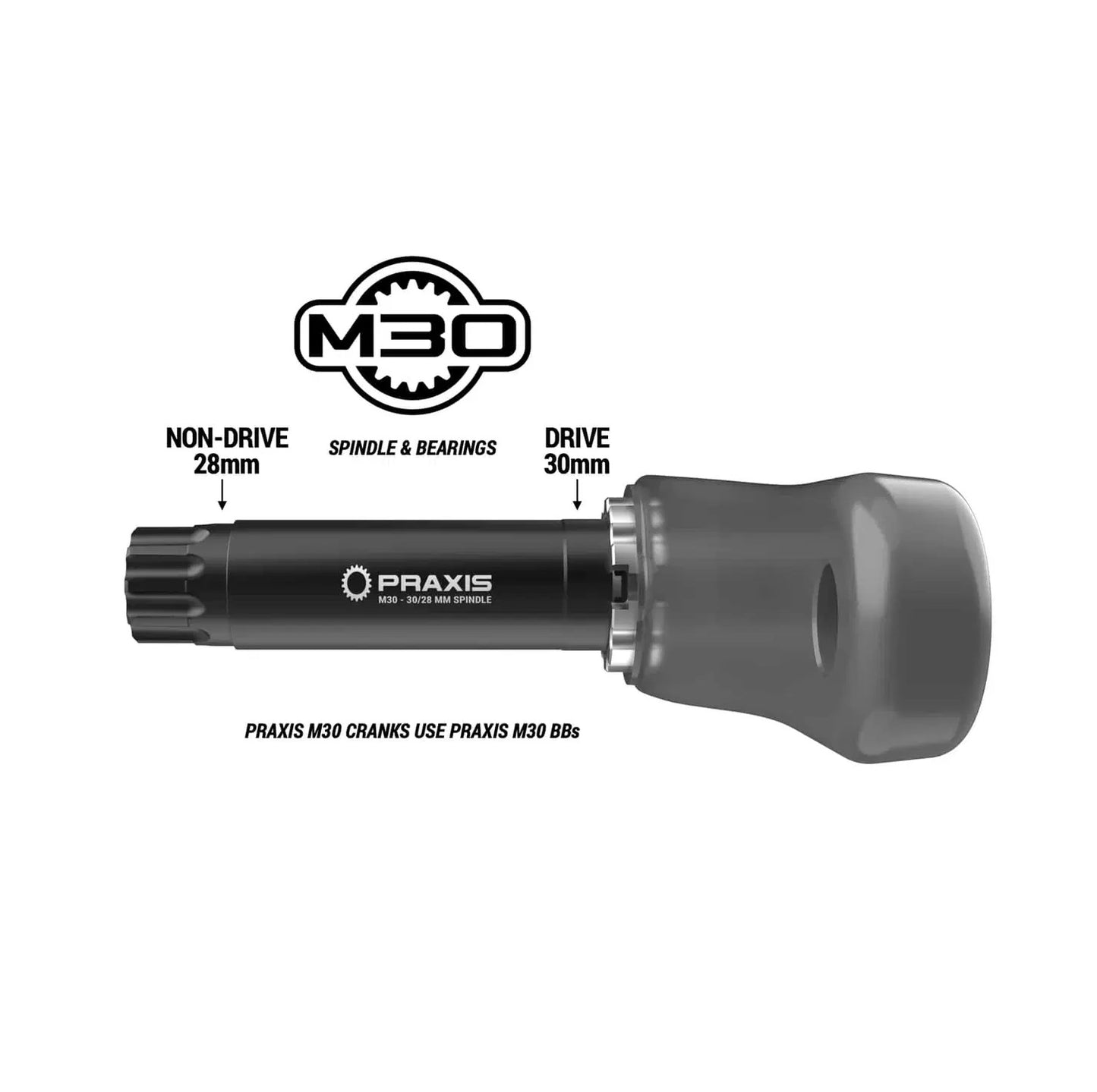 PRAXIS ALBA M30 vevparti