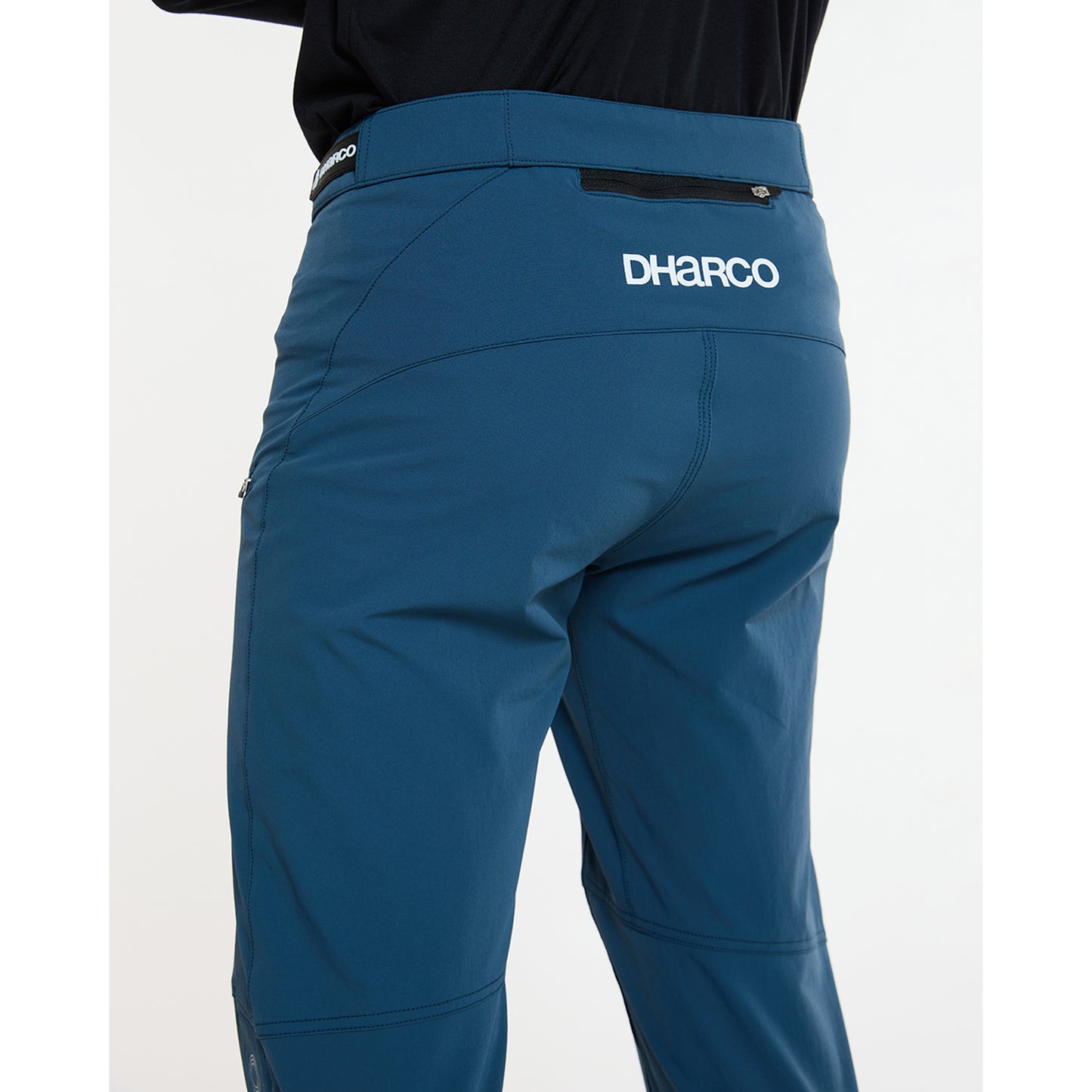 DHARCO GRAVITY Pants Blue