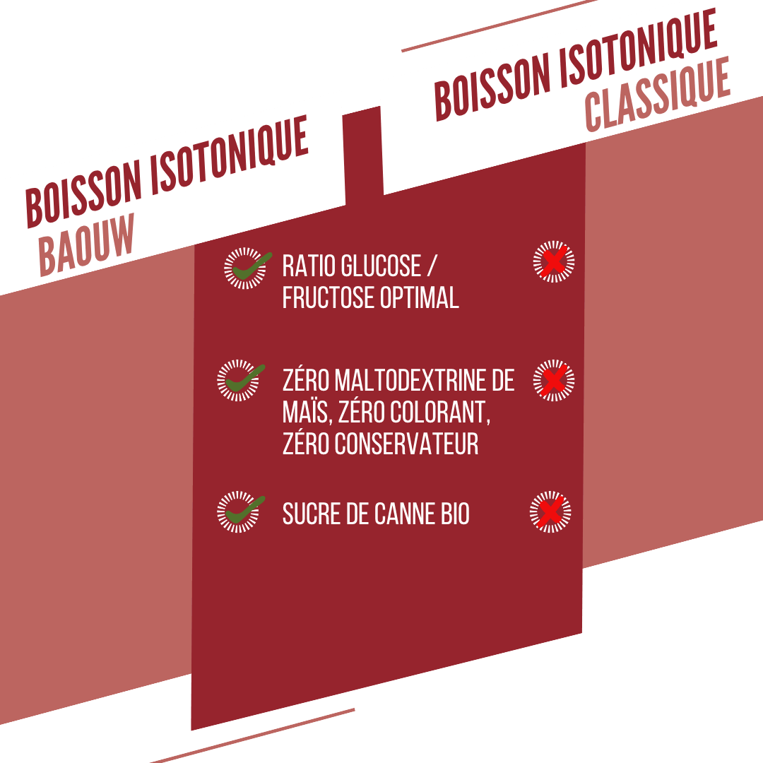 BAOUW ISOTONIC Energy Drink (45g) Watermelon/Pomegranate