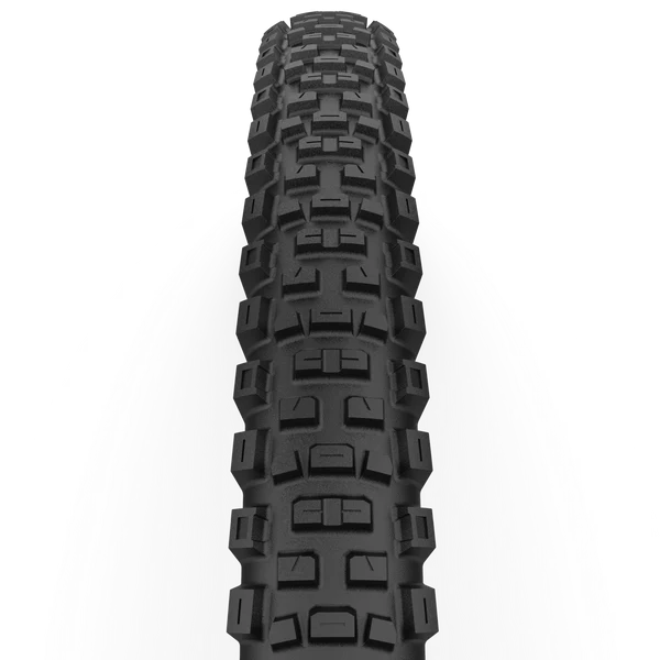 CAST ANTAGONIST 29x2.40 DualWall Smart Evo DH Tubeless Ready-däck