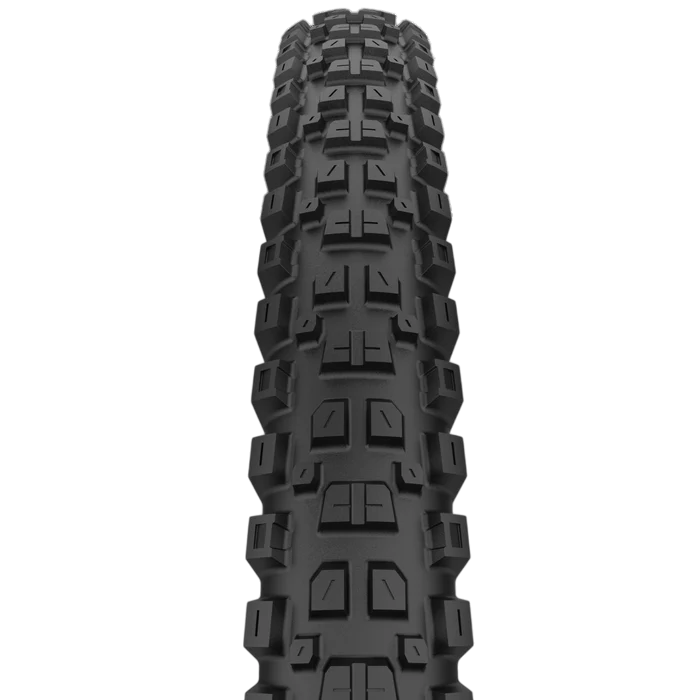 CAST PROTAGONIST 29x2.40 HardWall Smart Evo DH Tubeless Ready tire
