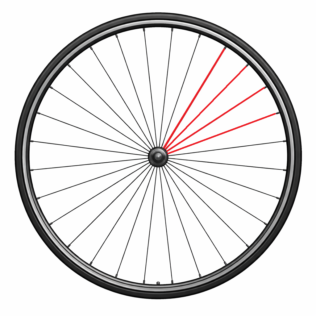 CAMPAGNOLO FULL SPOKE REAR LEFT ZONDA (4 PCS.)