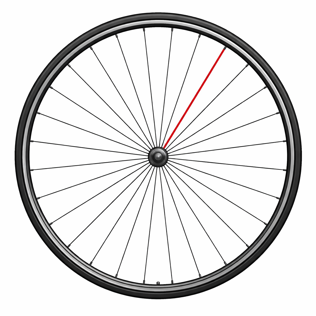 COMPLETE SPOKE COMPAGNOLO REAR RIGHT SHAMAL C17 (1 PC.)