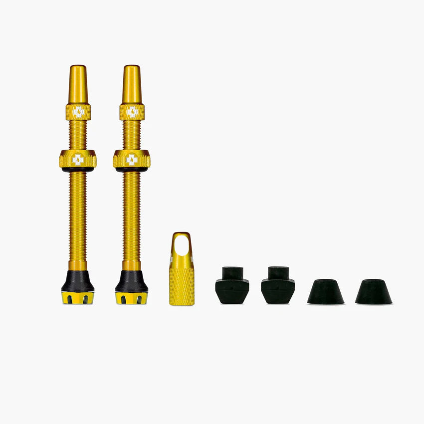 Slanglösa ventiler V2 MUC-OFF Gold