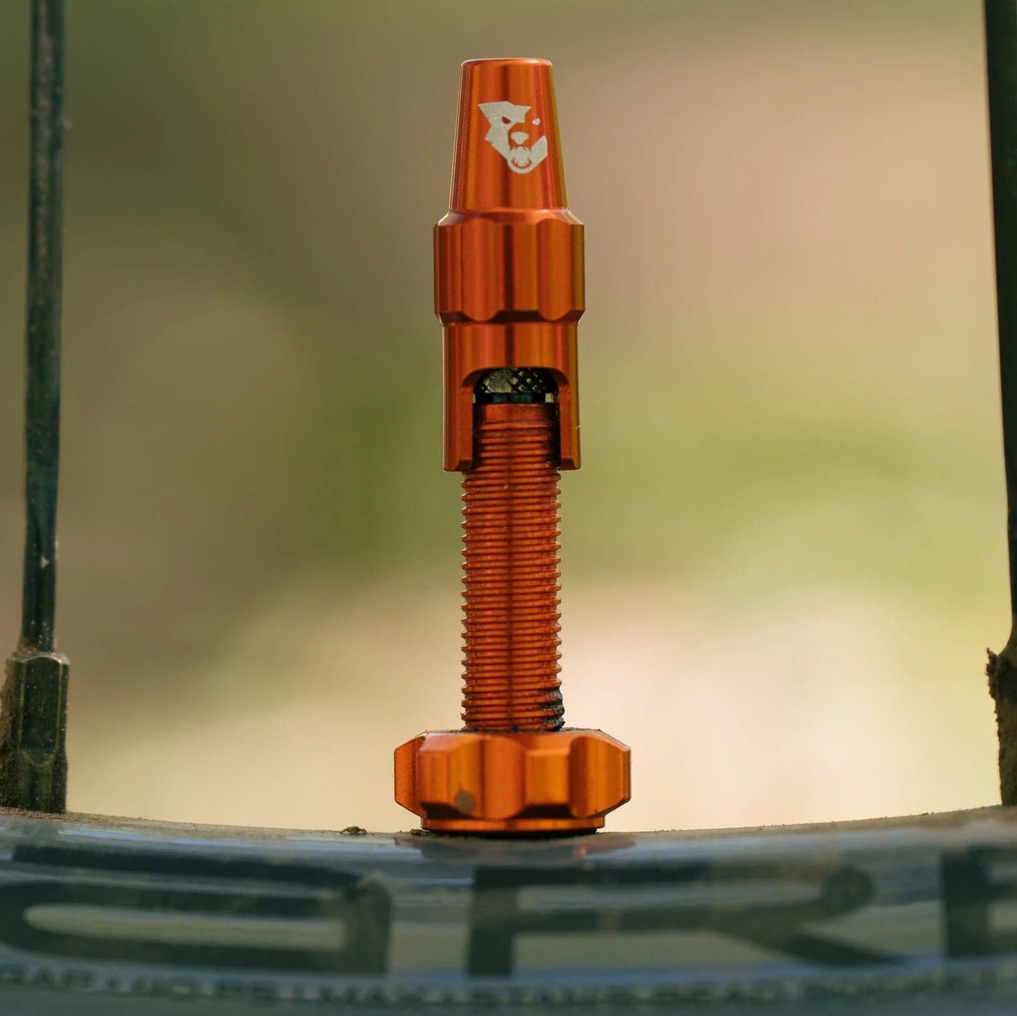 Tubeless Valve WOLF TOOTH CLIK VALVE Orange