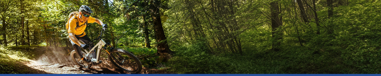 MICHELIN | MTB-däck