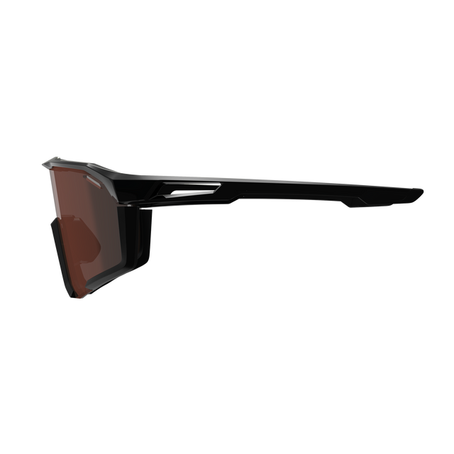 LEATT SPEEDVIZ PRO Glasögon Satin Black IRIZ Silver 30 VLT