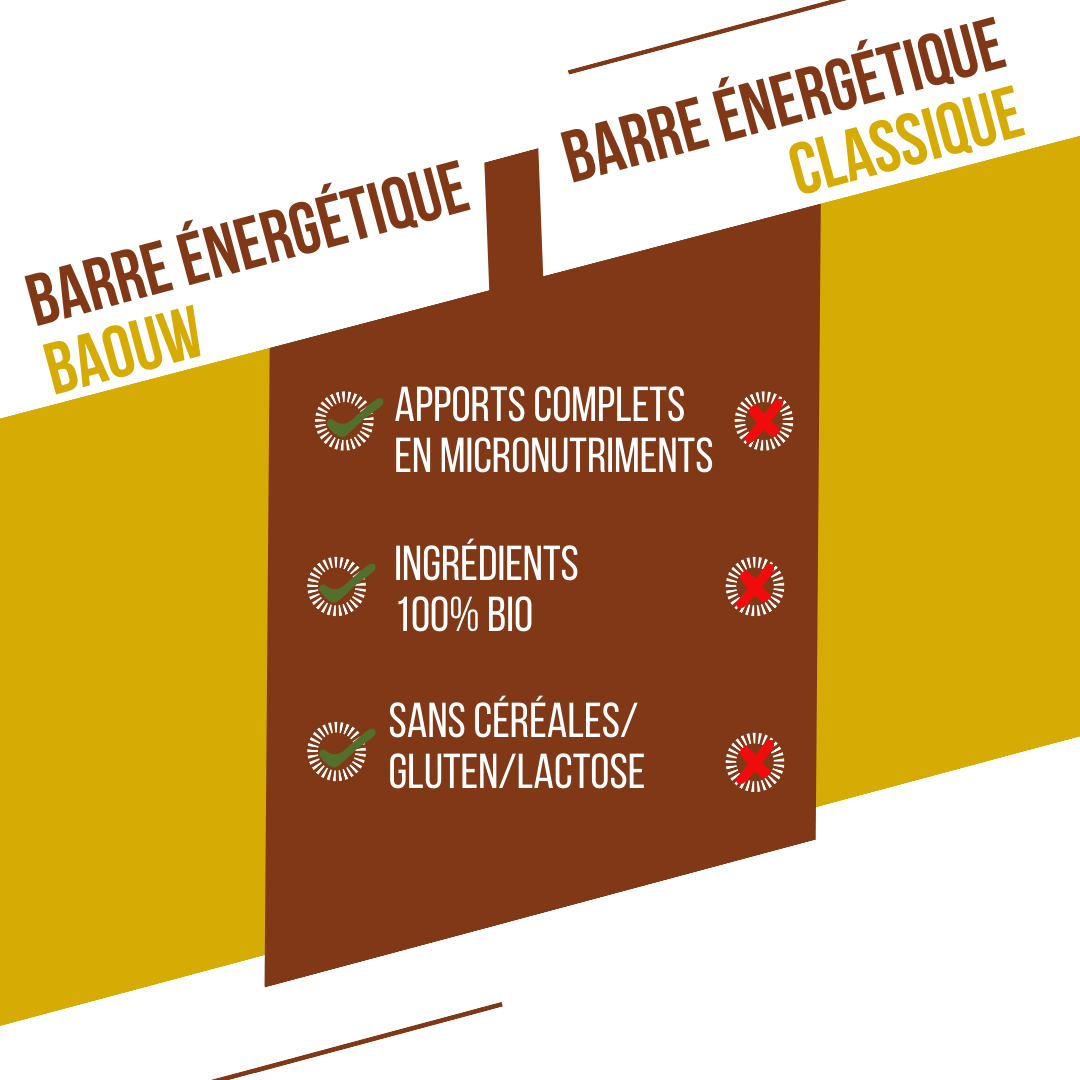 BAOUW ORGANIC EXTRA Banana-Pecan Energy Bar (50 g)