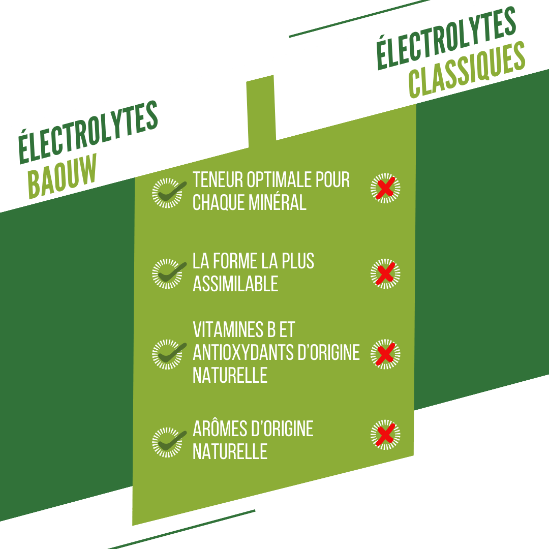 BAOUW Energy Drink (Tube med 10 tabletter) Limefrukt/Mint