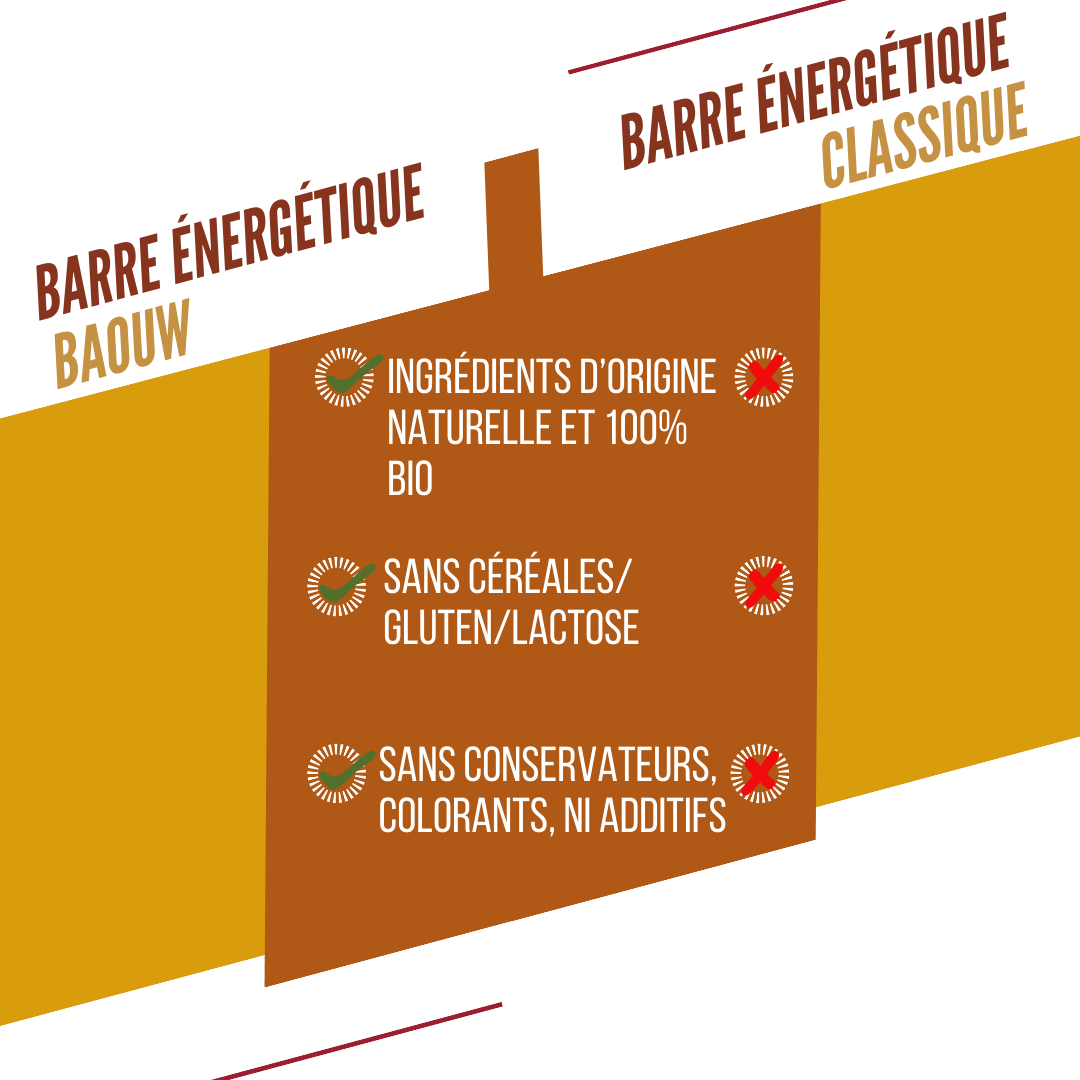 BAOUW ORGANIC EXTRA Mango Cashew Energy Bar (50 g)