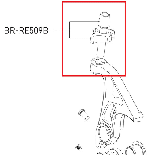 Cable Tension Adjusting Screw for CAMPAGNOLO SR/Record 12V Rear Derailleur