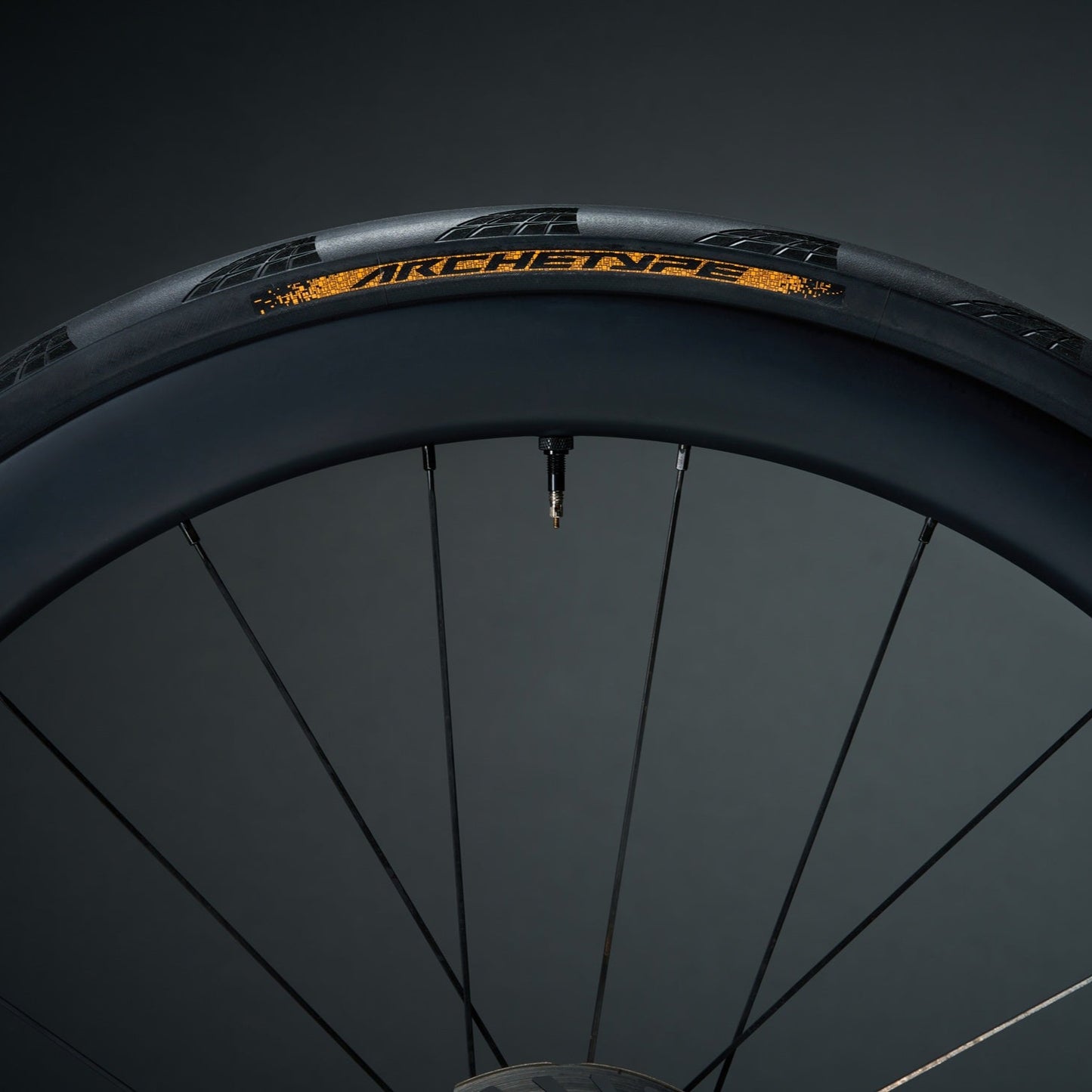 CONTINENTAL ARCHETYPE TDF 2025 700x30c Tubeless Ready Black-däck - begränsad upplaga