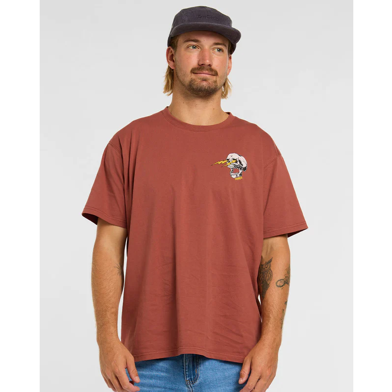 DAHRCO RUST T-shirt Kortärmad Brun