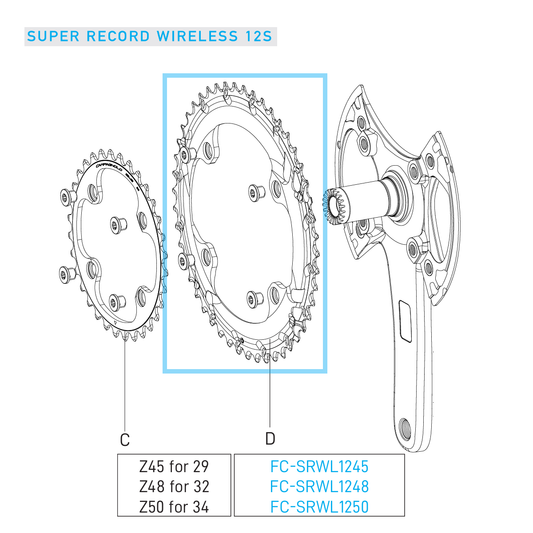 Utomhus 12V CAMPAGNOLO SUPER RECORD WRL bricka
