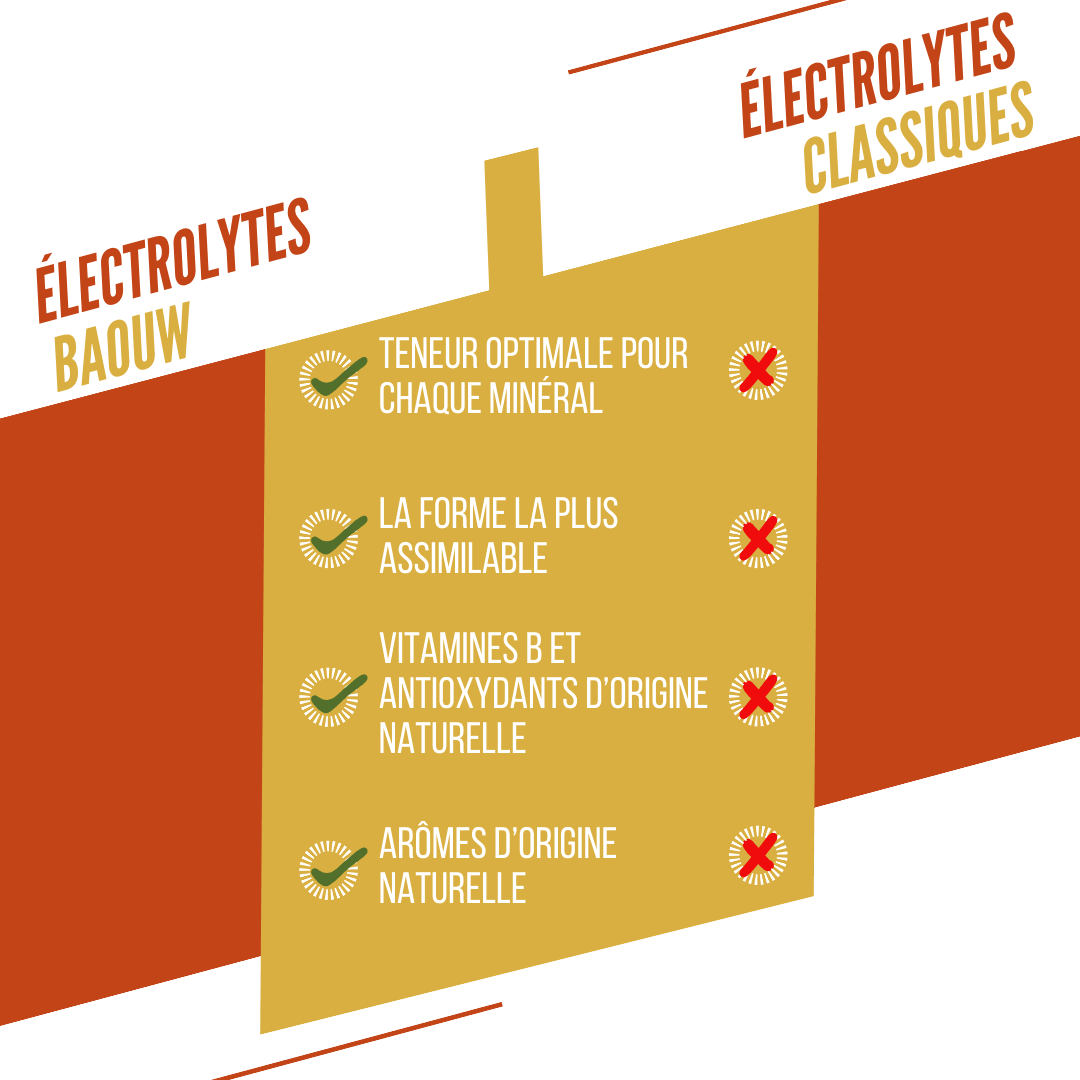 BAOUW Energidryck (Tube med 10 tabletter) Mango/Ananas