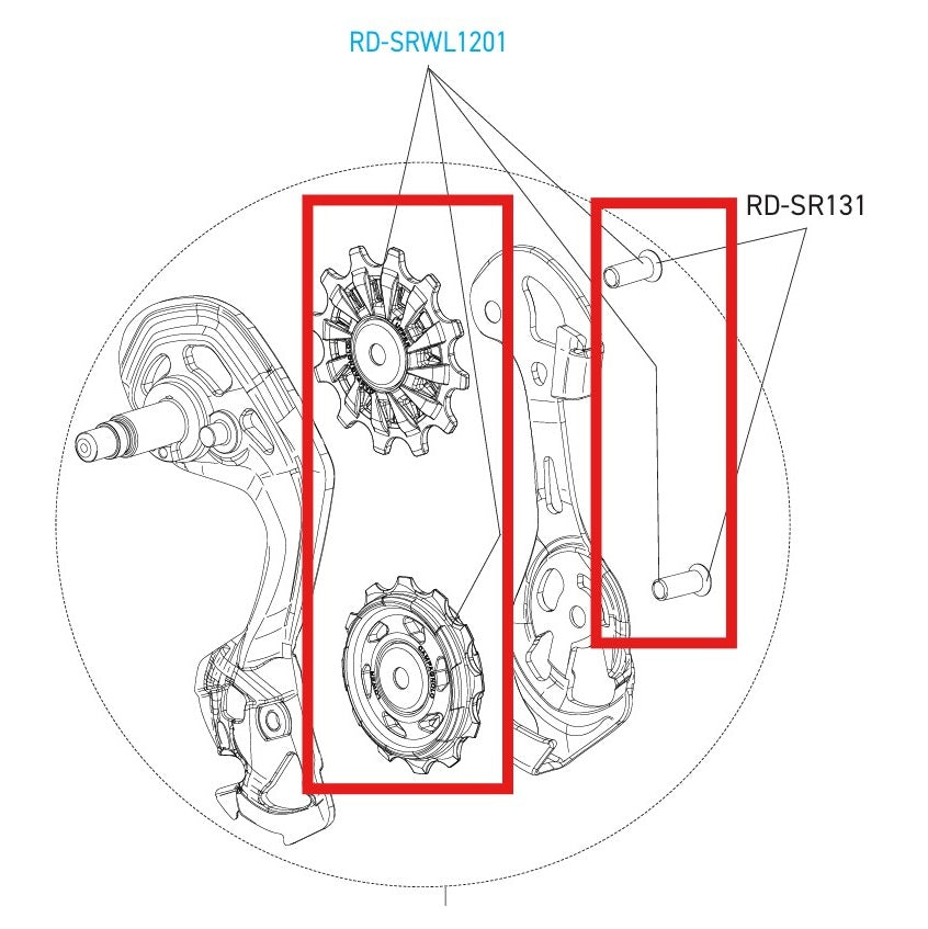 CAMPAGNOLO SUPER-RECORD 12V WRL DISC Rear Derailleur Hubs