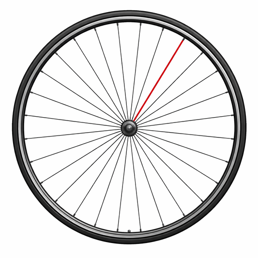 CAMPAGNOLO COMPLETE FRONT SPOKE SHAMAL C17 (1 PC.)