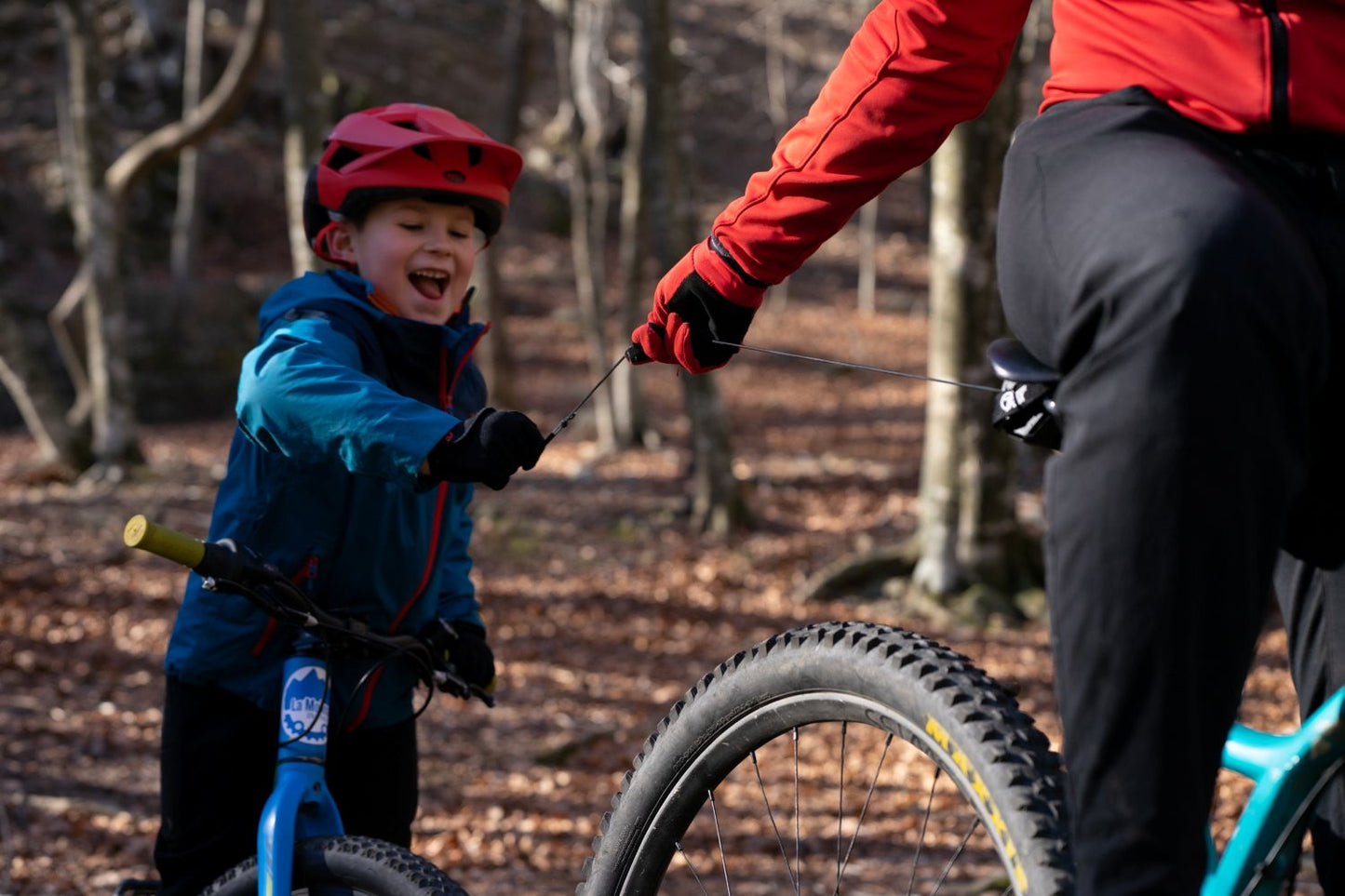 Système de Traction Vélo TRAX PRO
