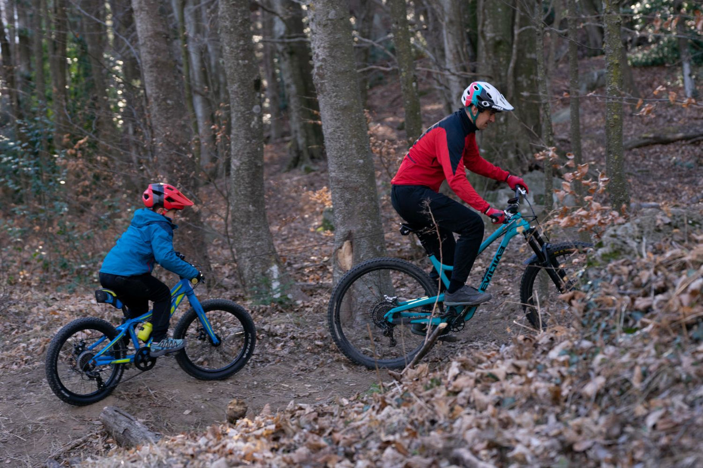 Système de Traction Vélo TRAX PRO