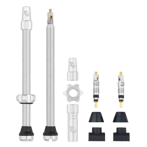Uppsättning med 2 WOLF TOOTH Raw Silver Tubeless-ventiler