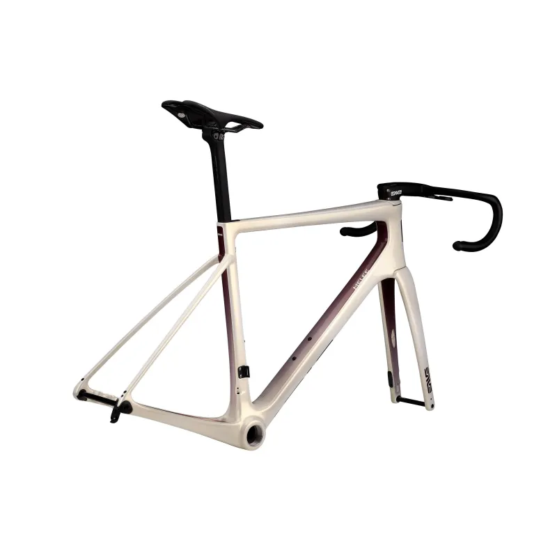 ENVE MELEE Beige Ram Kit