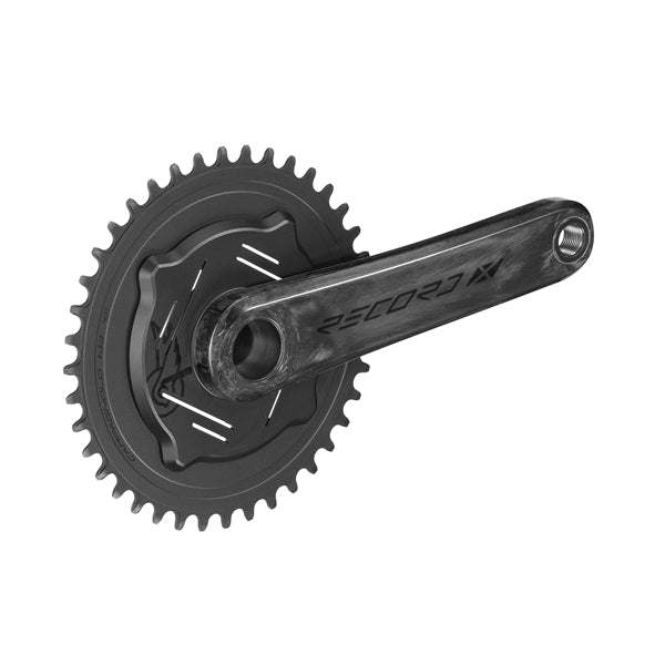 CAMPAGNOLO RECORD X WRL 13V vevstakar